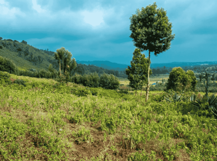 prime-plots-in-ndeya-at hekime-date