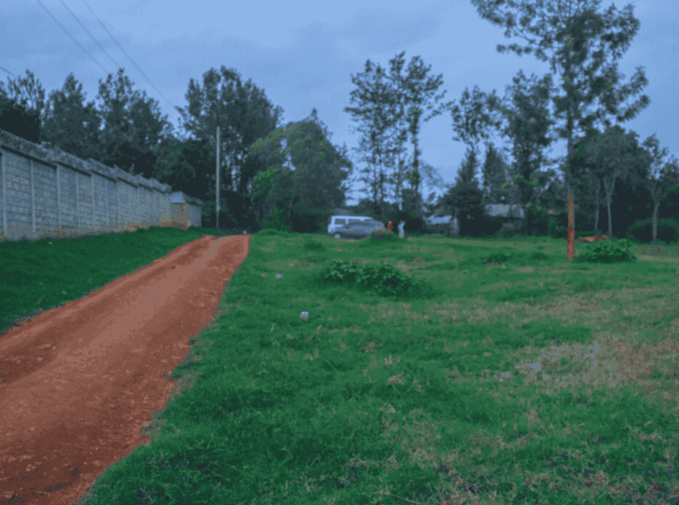 Thindigua-Ridge-Estate